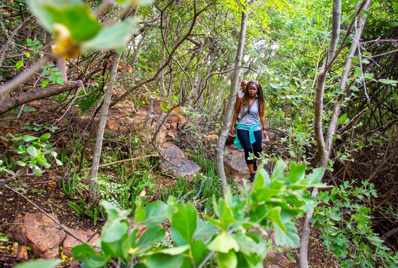 Affittacamere The Cliffside Boutique Getaway Johannesburg Esterno foto